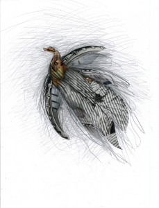 sonntagsausflug, 2013