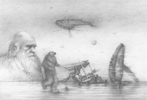 darwin-2011-zeichnung-43x63cm 2