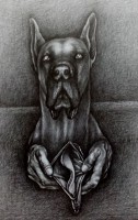 Dogge, 2020, Bleistift, 56x42cm